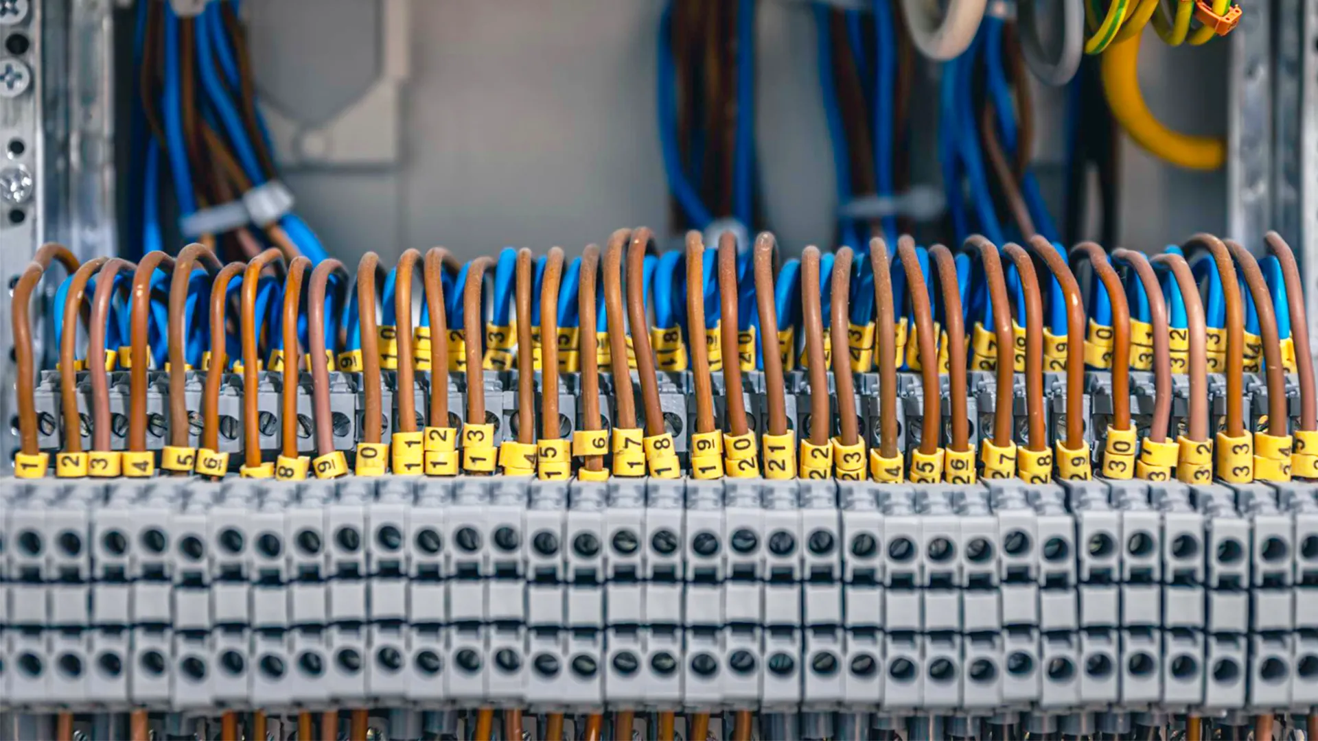 Network Infrastructure Development
