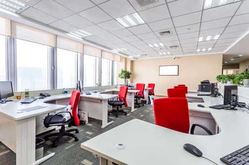 Network Infrastructure Services